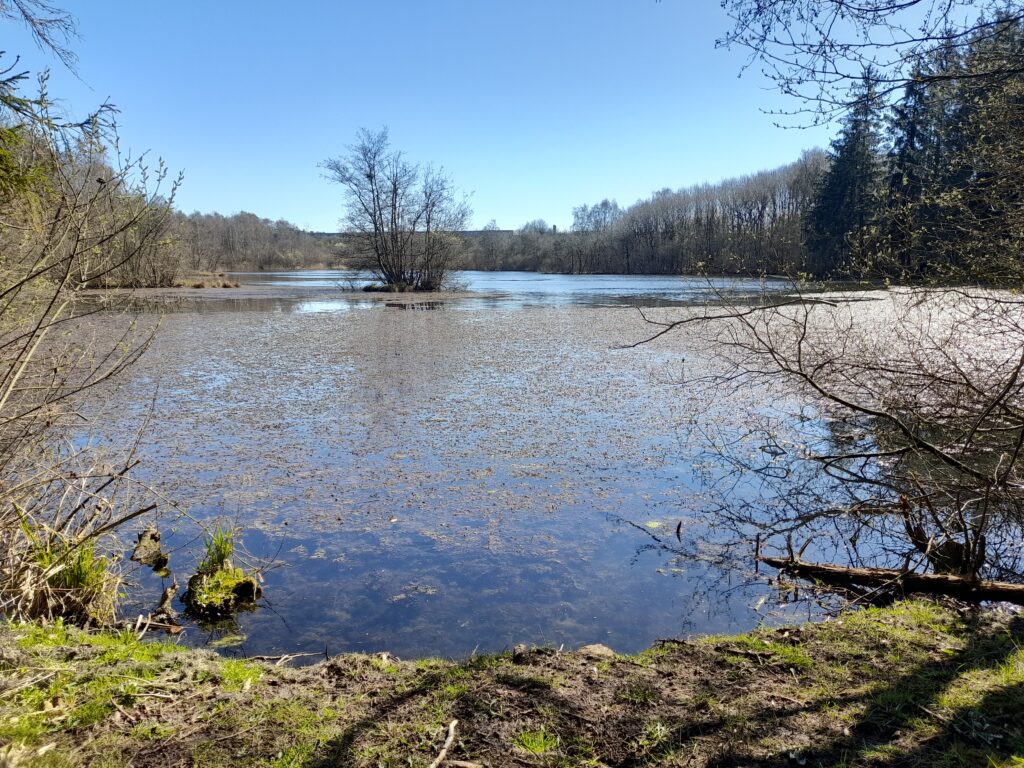 Vestermose i Skanderborg