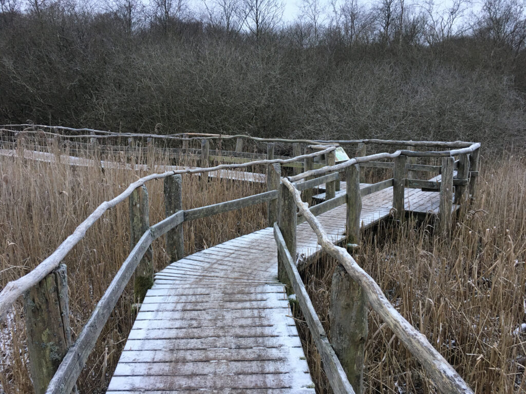 Sumpbroen